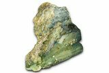 Freestanding Gary Green Jasper (Larsonite) Bog Wood - Oregon #377845-2